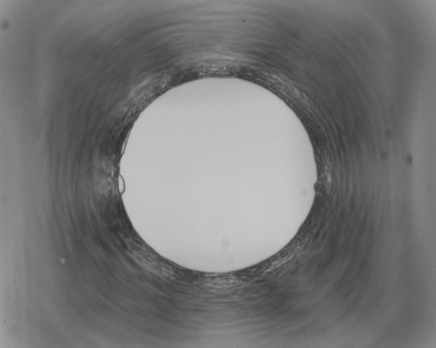 X0000079310964200612151748