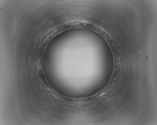 X0000079310965200612151748