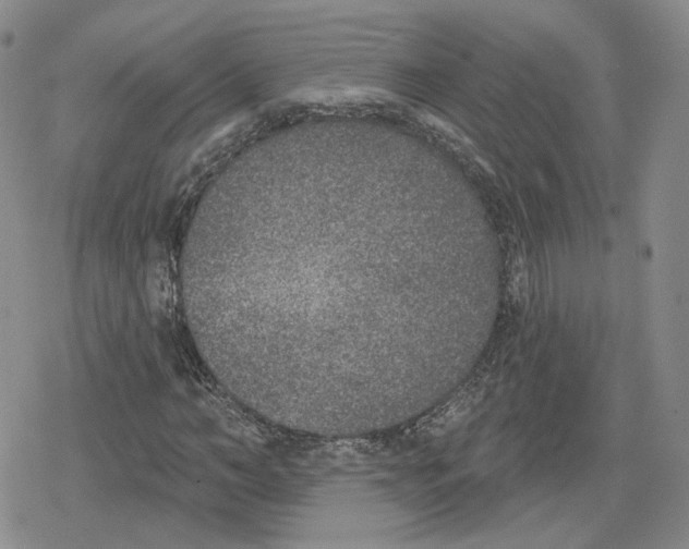 X0000079310966200612151748