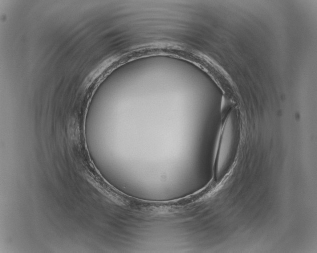 X0000079310969200612151748