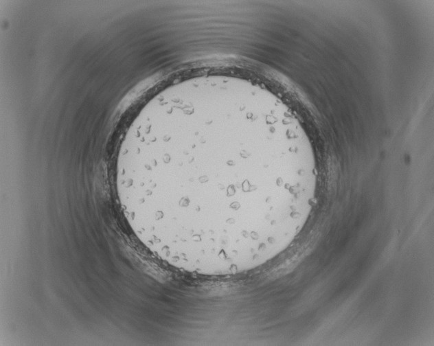 X0000079310970200612151748