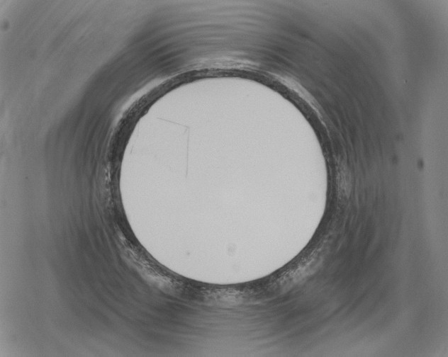 X0000079310971200612151748