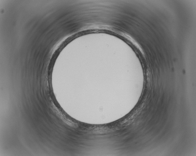 X0000079310972200612151748