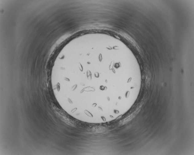 X0000079310974200612151748