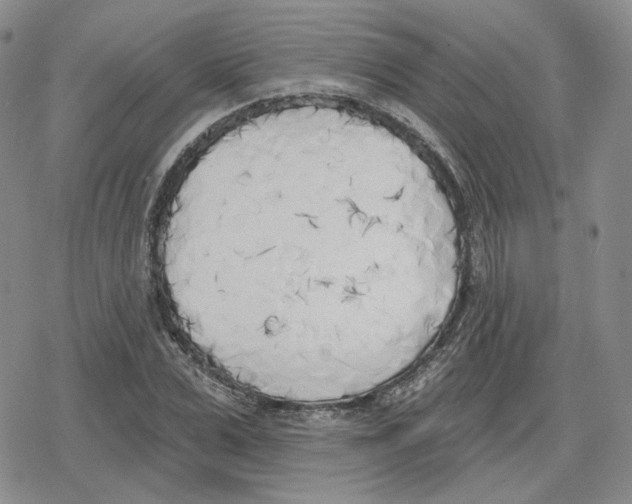 X0000079310975200612151748