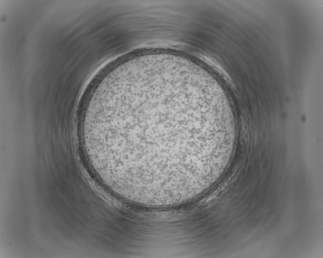 X0000079310976200612151748