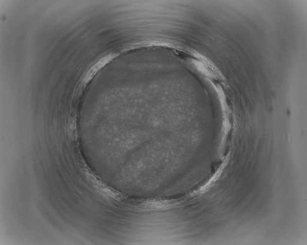 X0000079310977200612151748