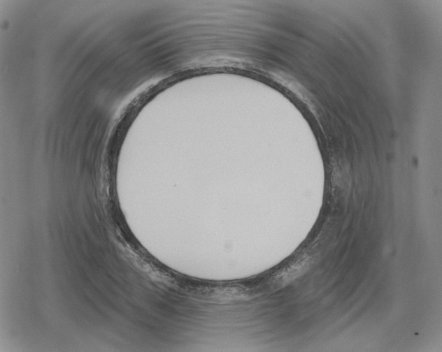 X0000079310979200612151748