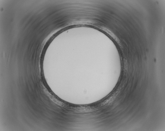 X0000079310980200612151748