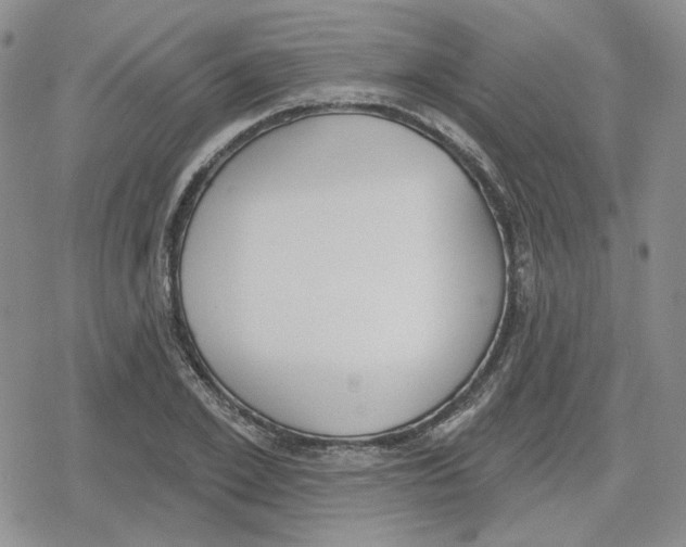 X0000079310981200612151748