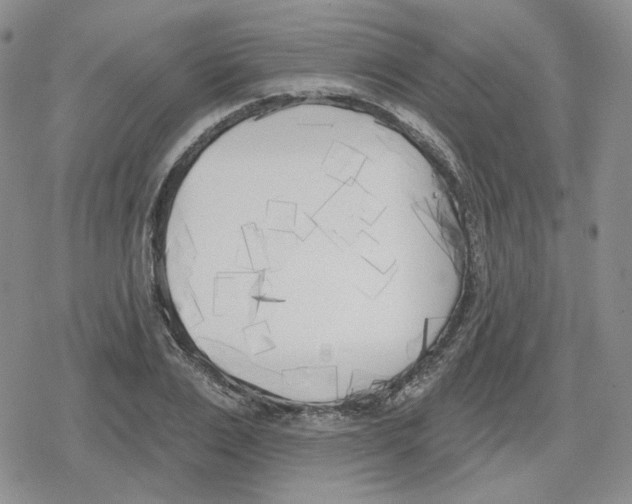 X0000079310983200612151748