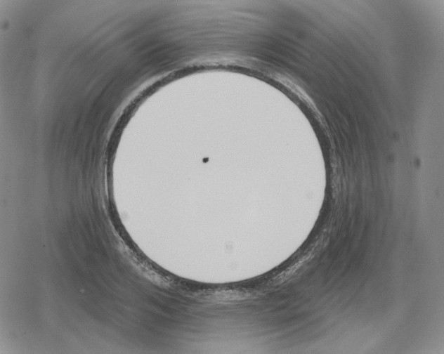 X0000079310984200612151748