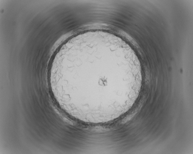 X0000079310986200612151748