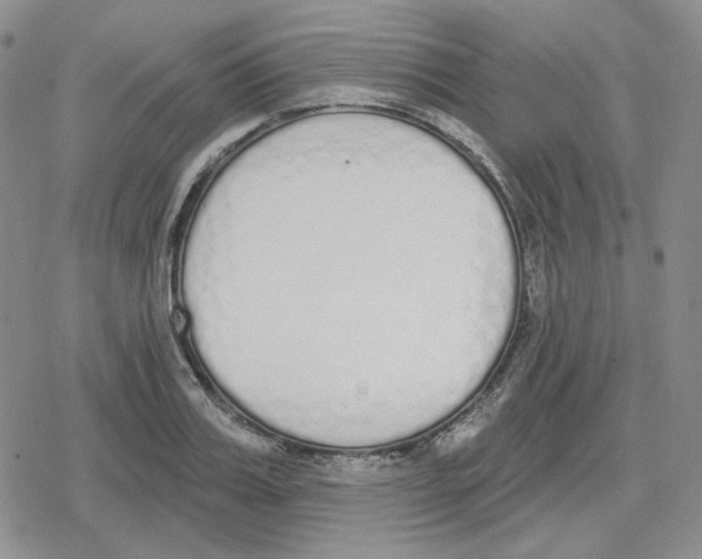 X0000079310987200612151748