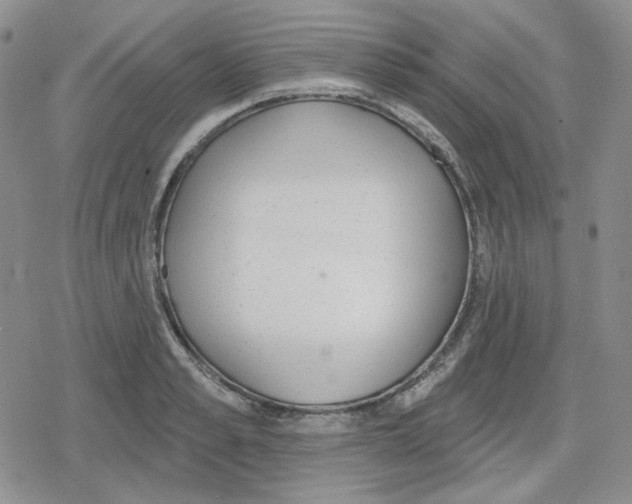 X0000079310989200612151748