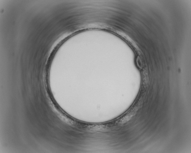 X0000079310991200612151748