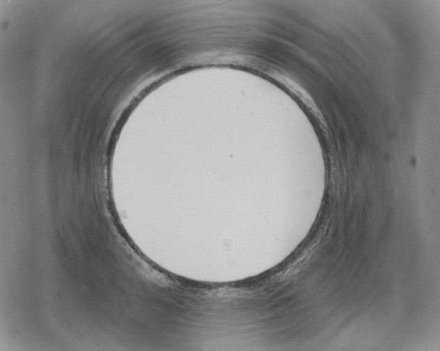 X0000079310992200612151748