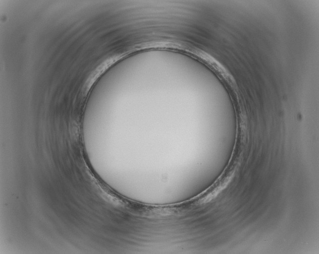 X0000079310993200612151748