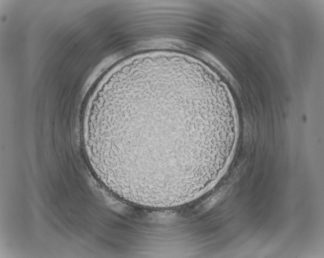 X0000079310994200612151747