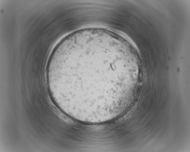 X0000079310996200612151747