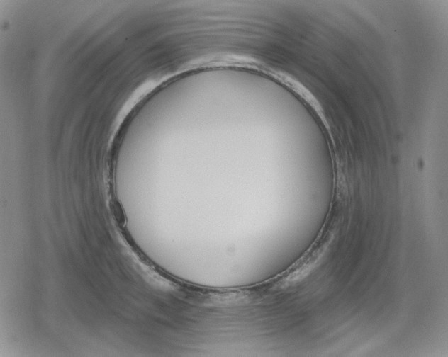 X0000079310997200612151747