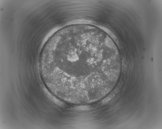 X0000079310998200612151747