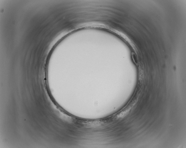 X0000079310999200612151747