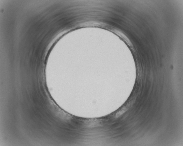 X0000079311000200612151747