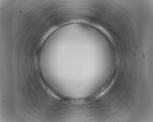 X0000079311001200612151747