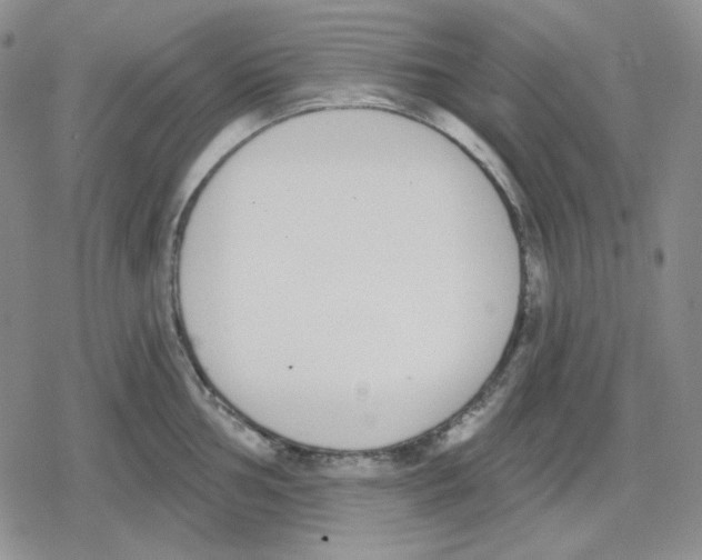 X0000079311002200612151747