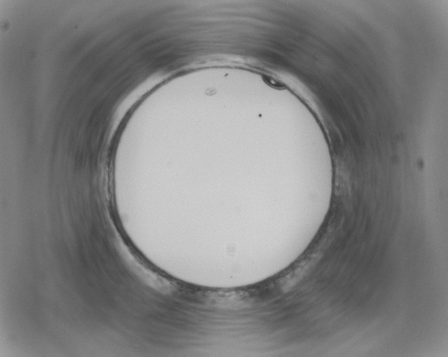 X0000079311003200612151747