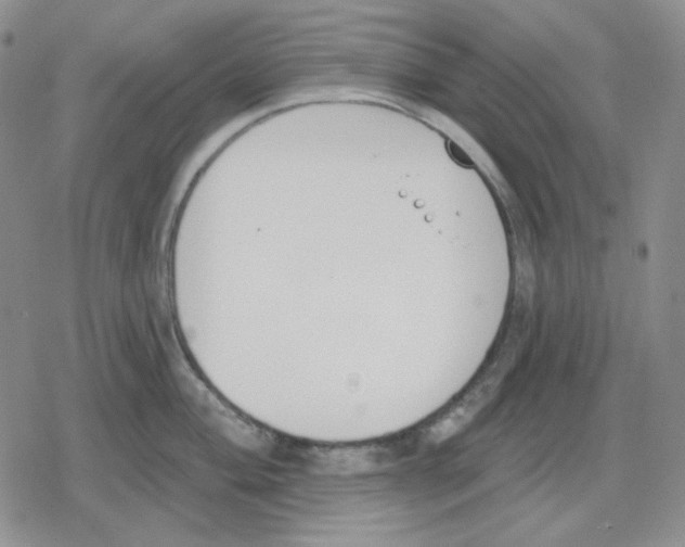 X0000079311004200612151747