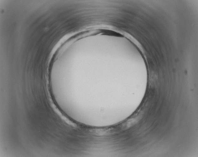 X0000079311005200612151747