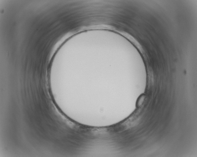 X0000079311006200612151747