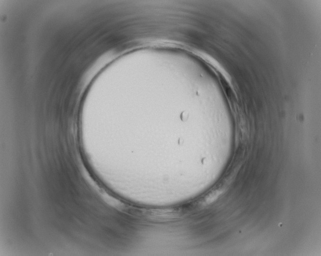 X0000079311007200612151747