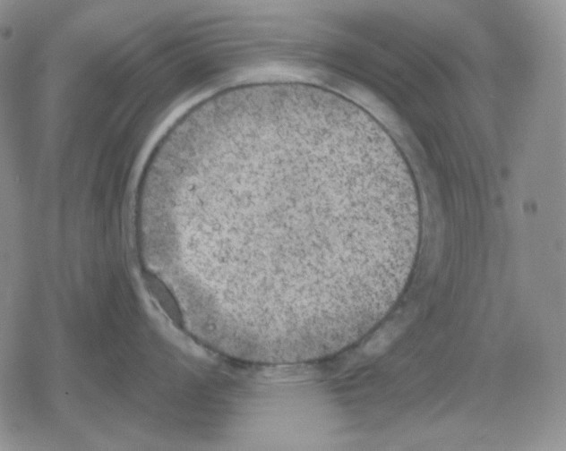 X0000079311008200612151747