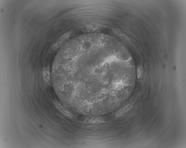 X0000079311011200612151747