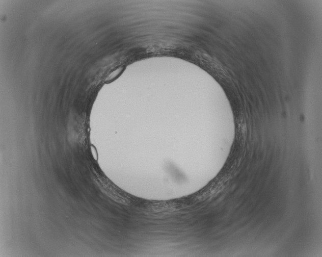 X0000079311012200612151747