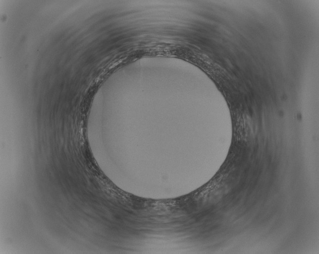 X0000079311013200612151747