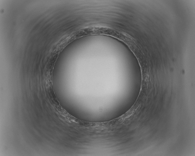 X0000079311014200612151747