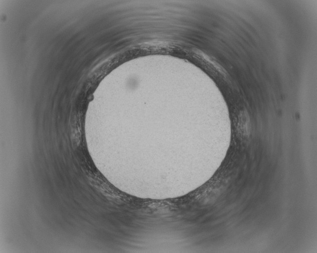 X0000079311015200612151747