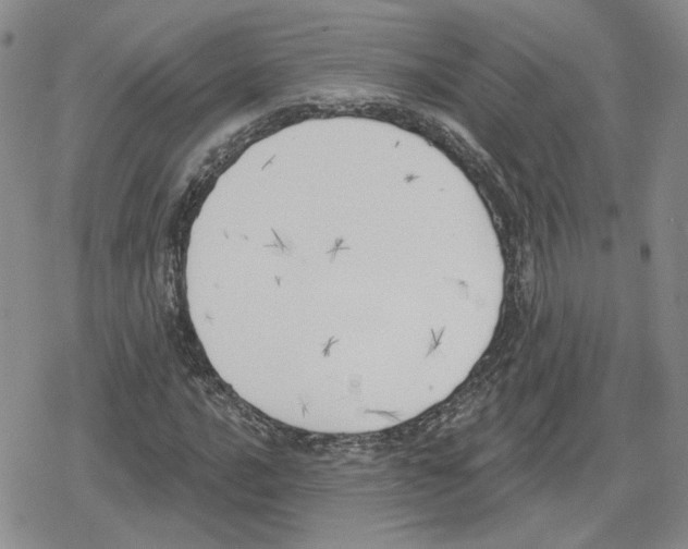 X0000079311016200612151747