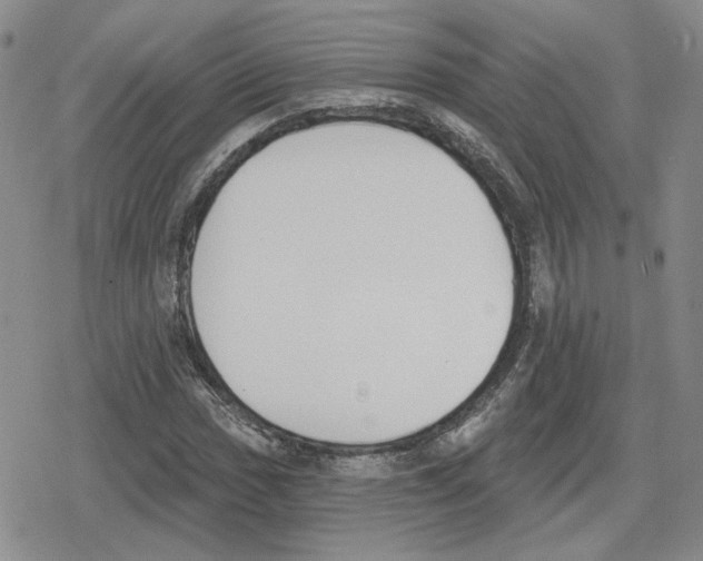 X0000079311017200612151747