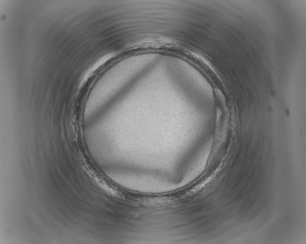 X0000079311018200612151747