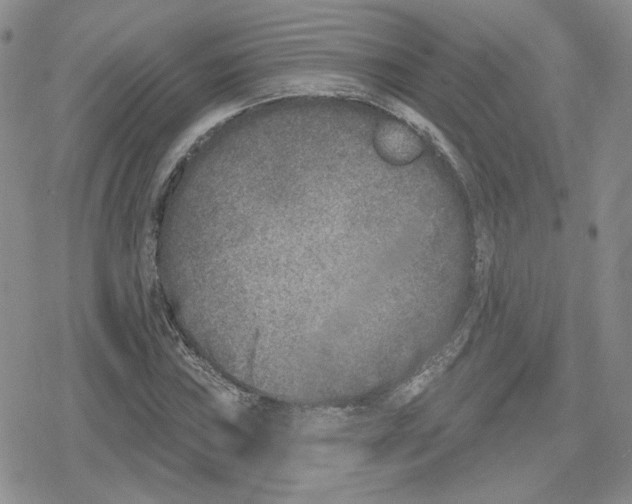 X0000079311019200612151747