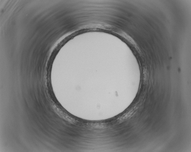 X0000079311020200612151747