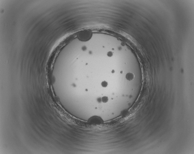 X0000079311022200612151747