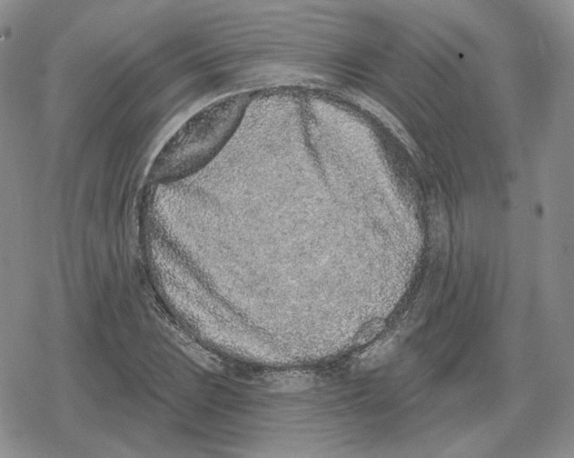 X0000079311023200612151747