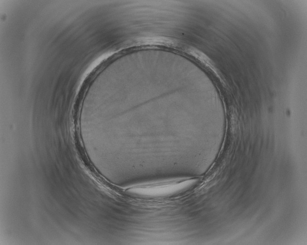 X0000079311024200612151747