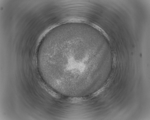 X0000079311027200612151747